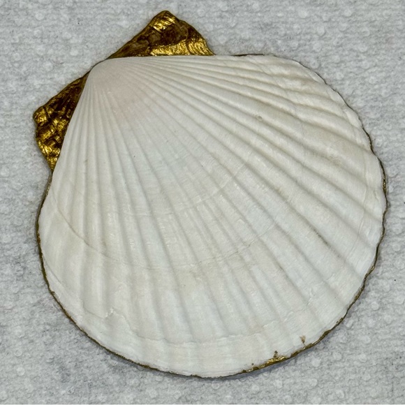 Hand Crafted Beach Social Club Trinket Shell Dish Jewelry Dish Pink White - Picture 3 of 5